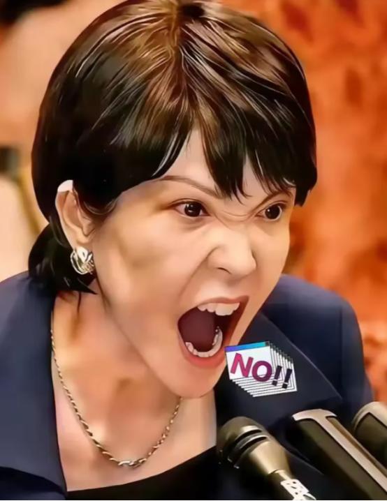 就在所有人都觉得该收手的时候，两个日本巨头，三菱和索尼，突然在中国市场砸下了重注