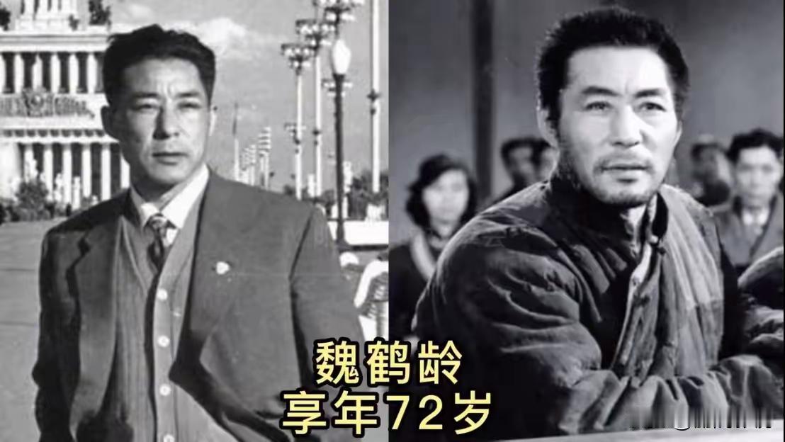 王铎：魏鹤龄是中国最好的演员之一