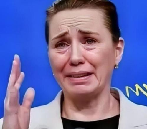 丹麦政府“痛恨”中国？丹麦的外交大臣拉斯穆森表示，丹麦无论过去还是现在，都不允许