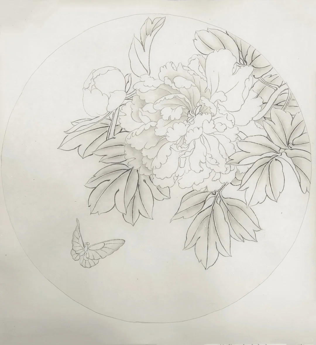 工笔画‖工笔牡丹，含步骤图