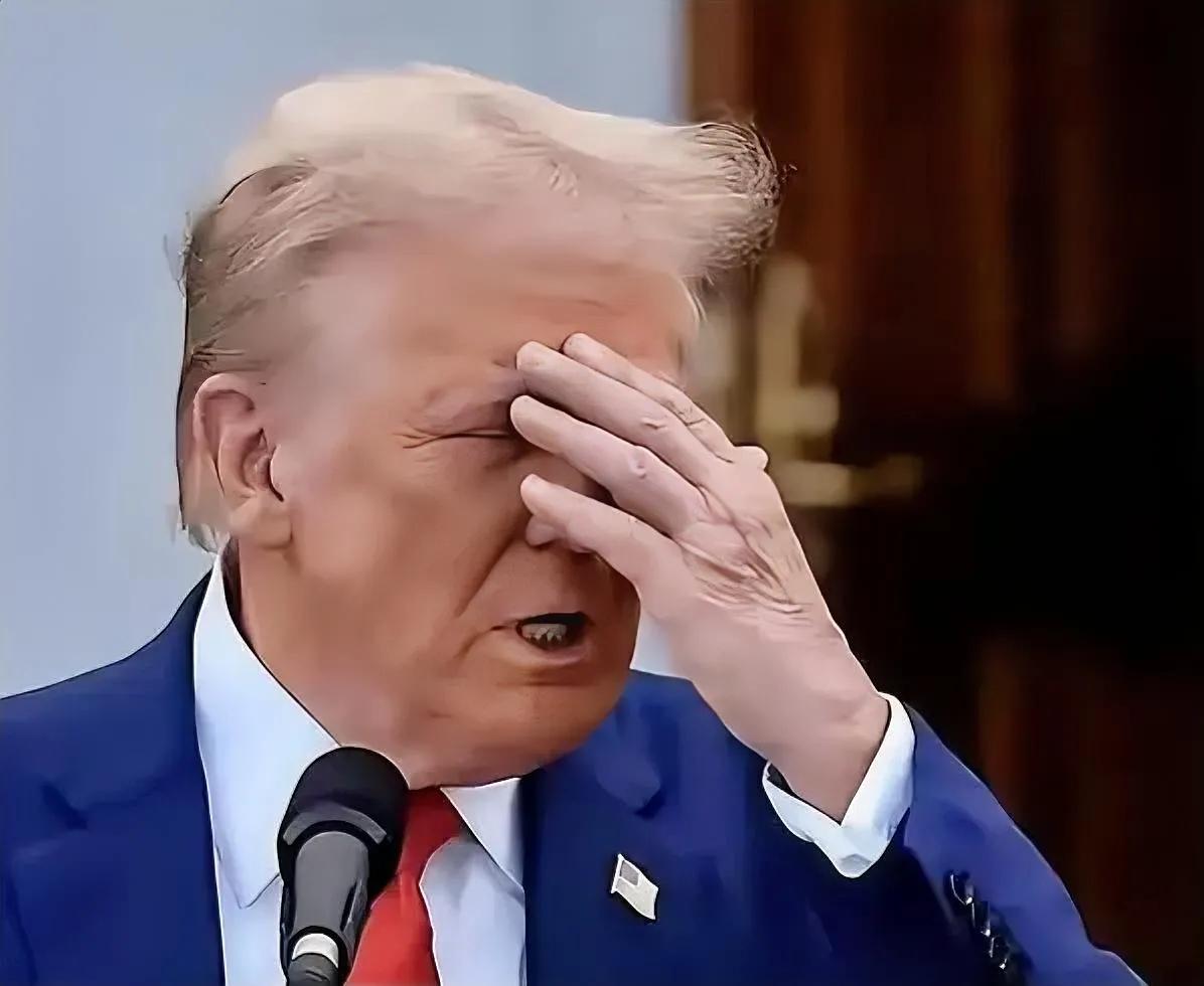 这简直太疯狂了
今天晚上，挪威大使向媒体展示了特朗普给挪威首相写了一封信，内容如