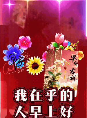 友友们，早上好！