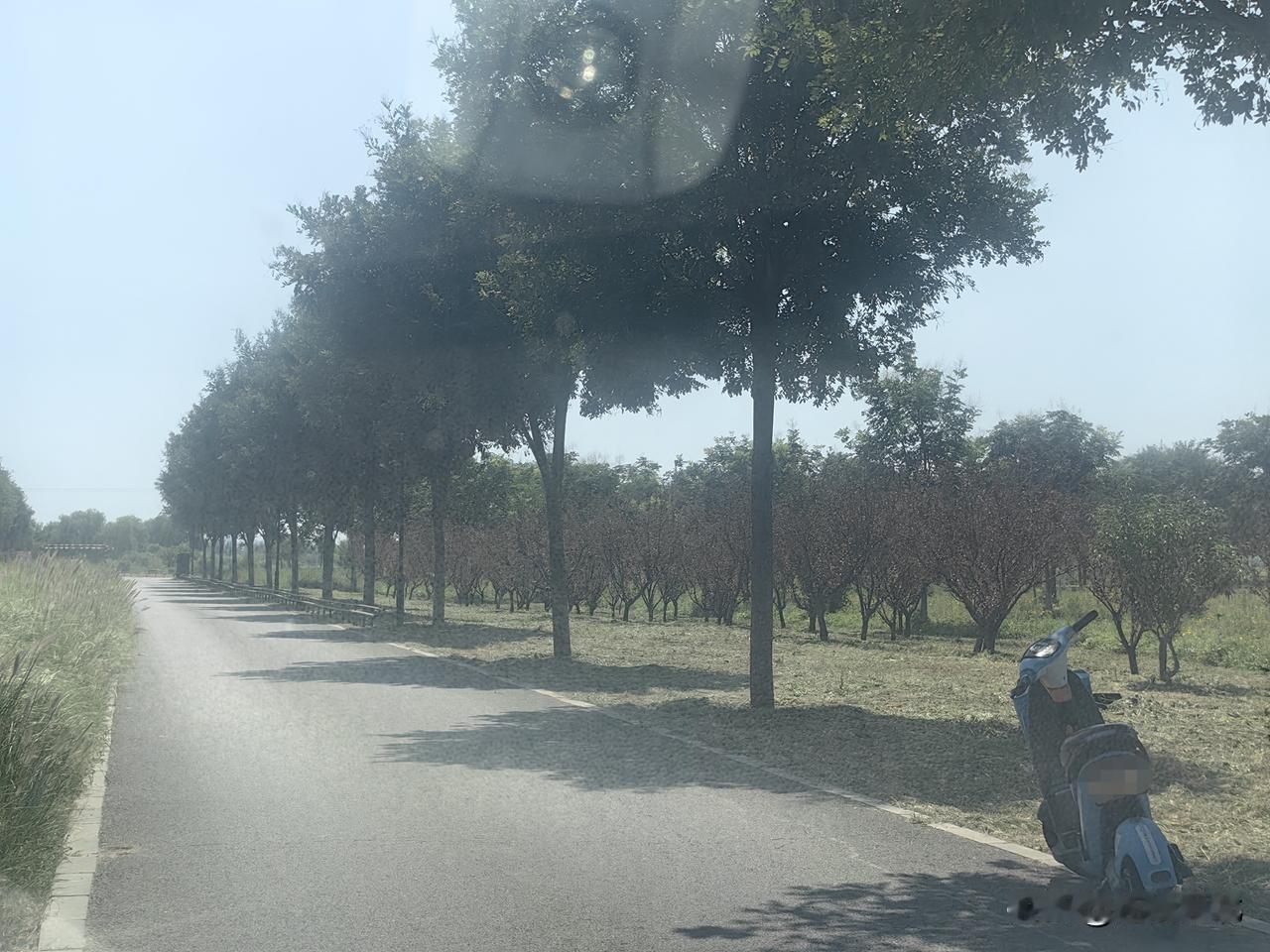 滞留于此是何原因】9月3日上午，在石家庄文正大街路旁，一辆共享电动车独自停放在路