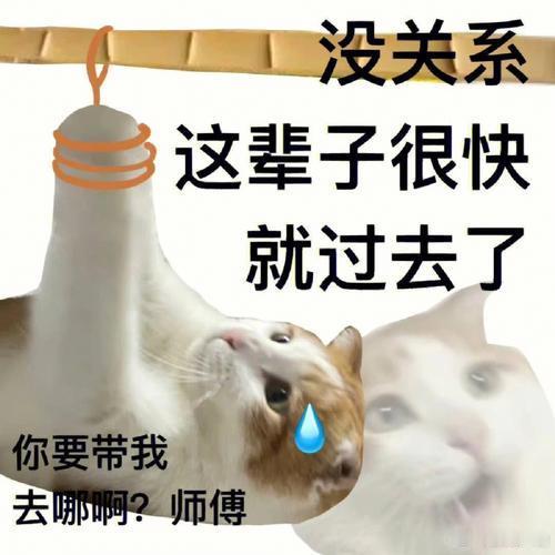 以为是休息实则最伤气血的3件事好好好，三件事全中，甚至每天都在干，真没招了 