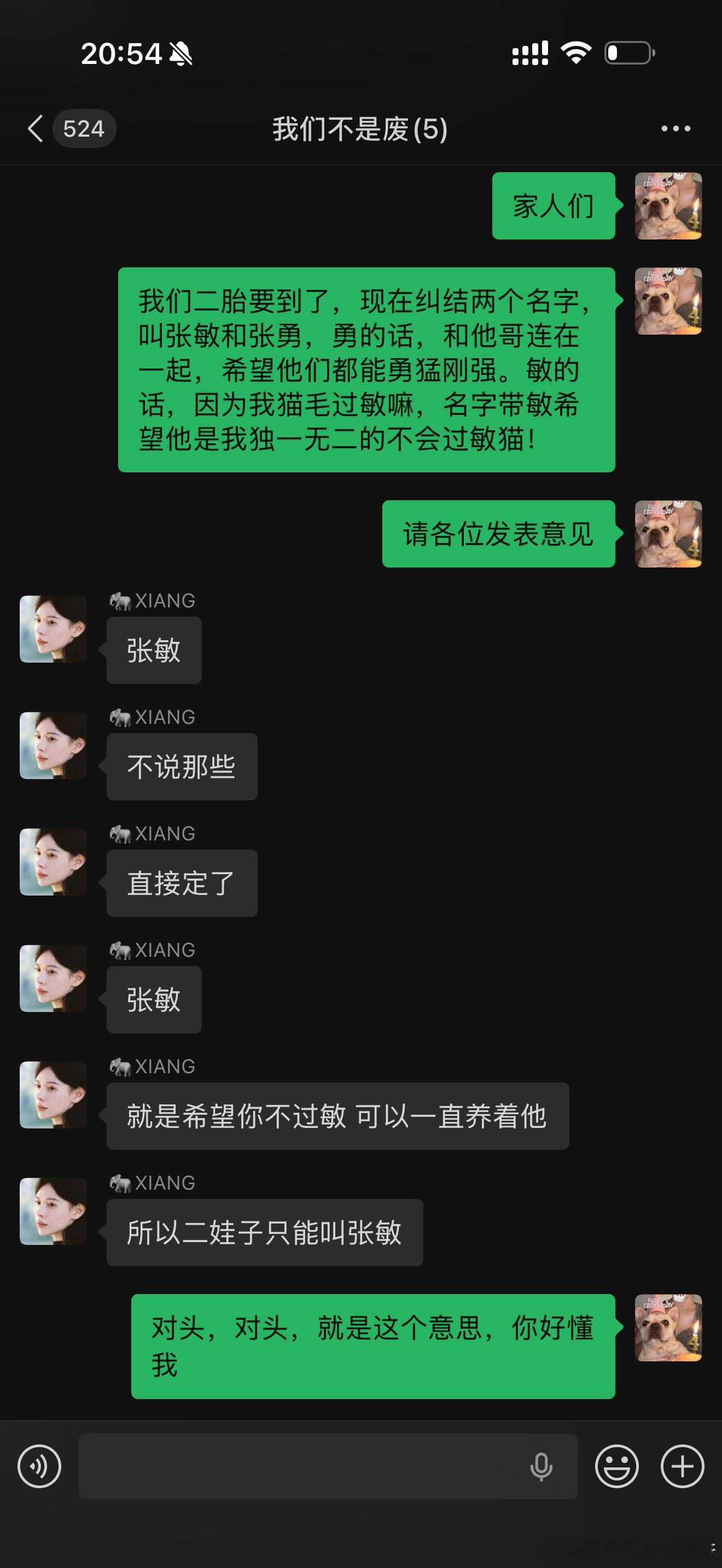 对了姐妹们 我们俩养二胎了！！是只蓝虎斑德文弟弟 于是…我特别纠结 姨姨们觉得呢