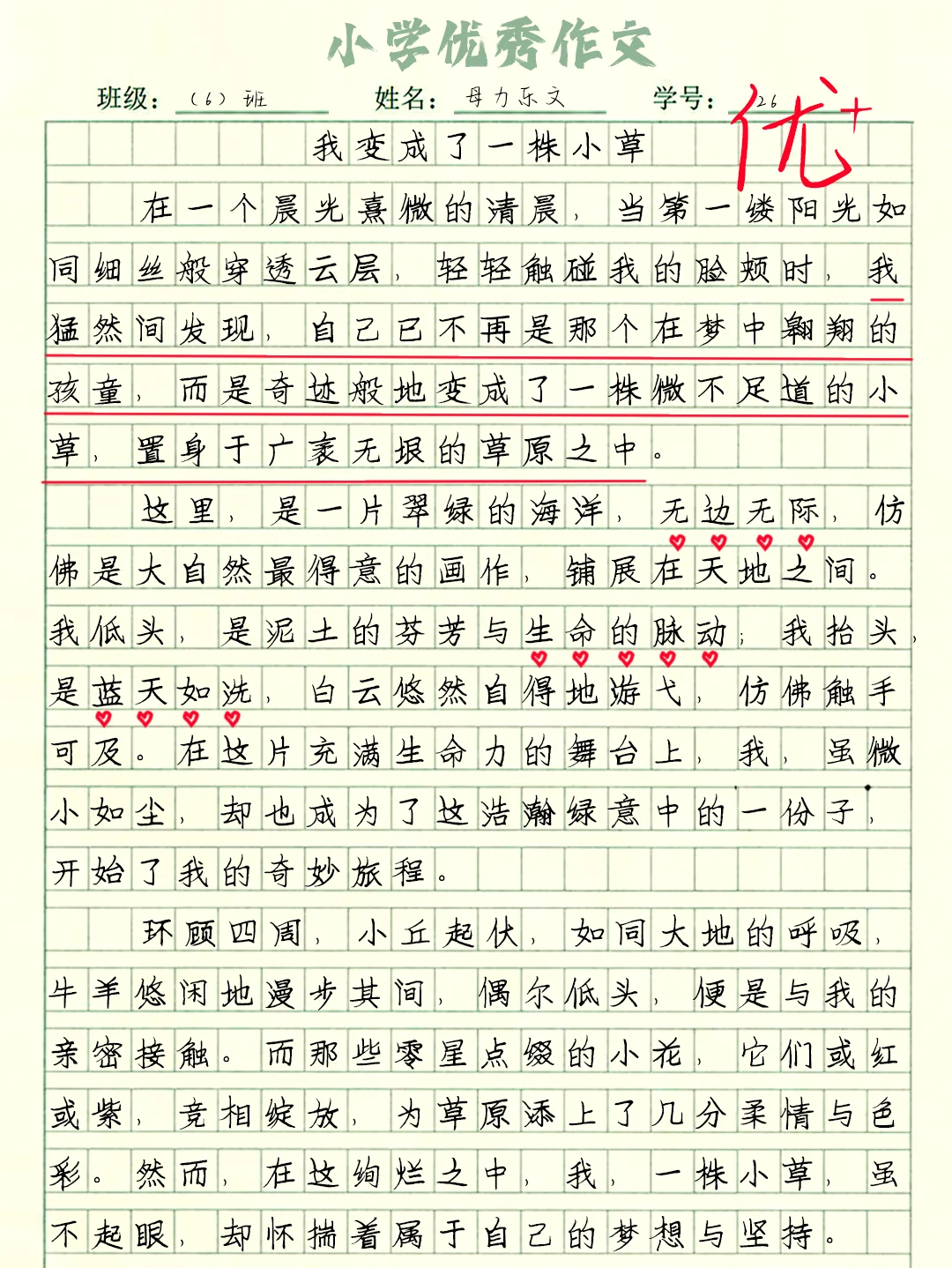 小学六上作文：变形记【我变成了一株小草】
