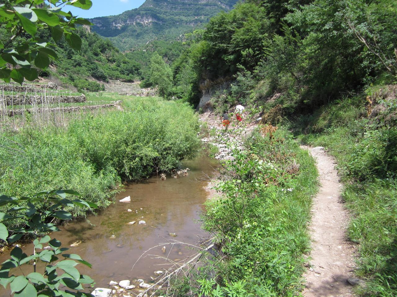 小鹰现在越来越会玩了，都开始玩诈骗了！三哥率先上了当，以为给小鹰交了保护费，就可