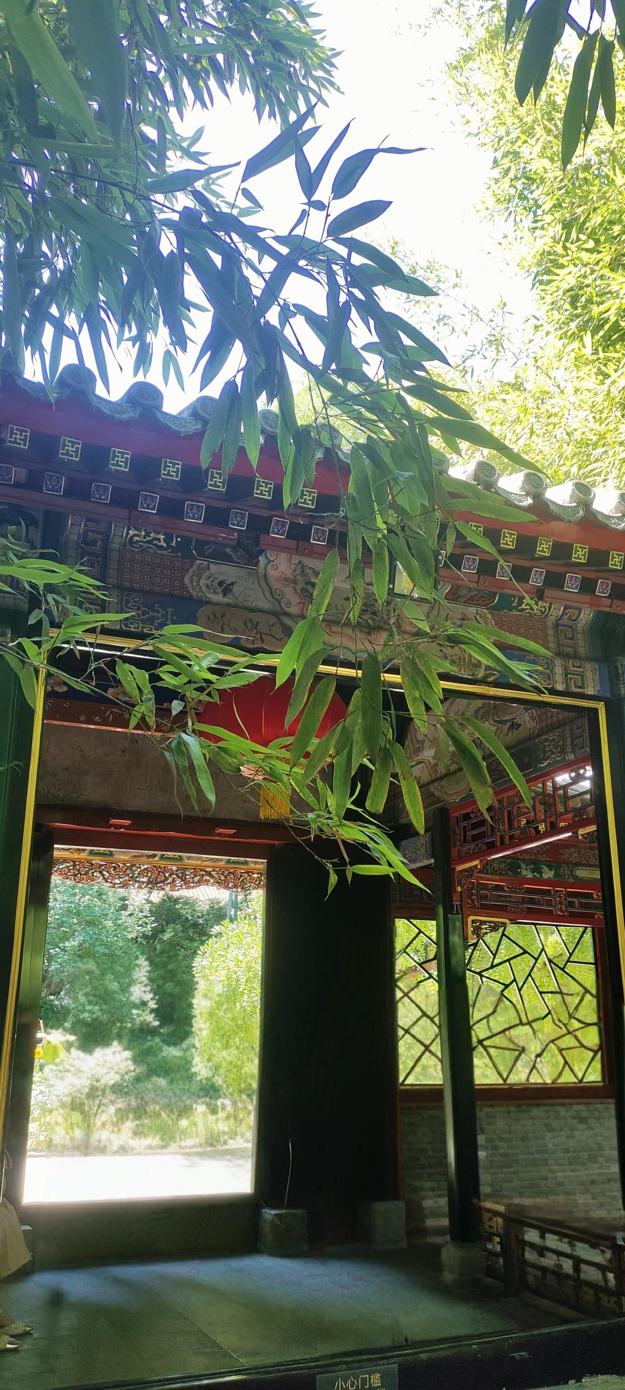 生孩子到底值不值？

答案就在我们家

前几年我的舅舅70大寿

两个小姨，一个