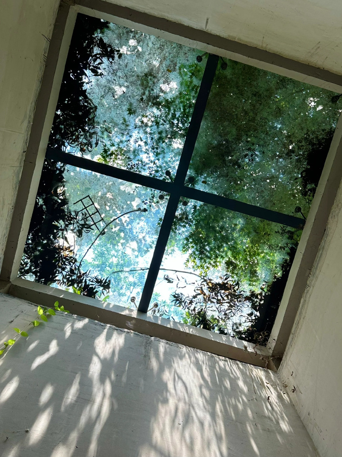 你说这是天空的安慰|永远会被光影美学打动！ ​​​