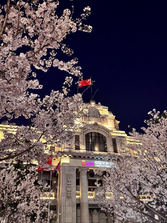 3.18实况🌸汉口江滩的夜樱真的鲨疯了🌌！！！
