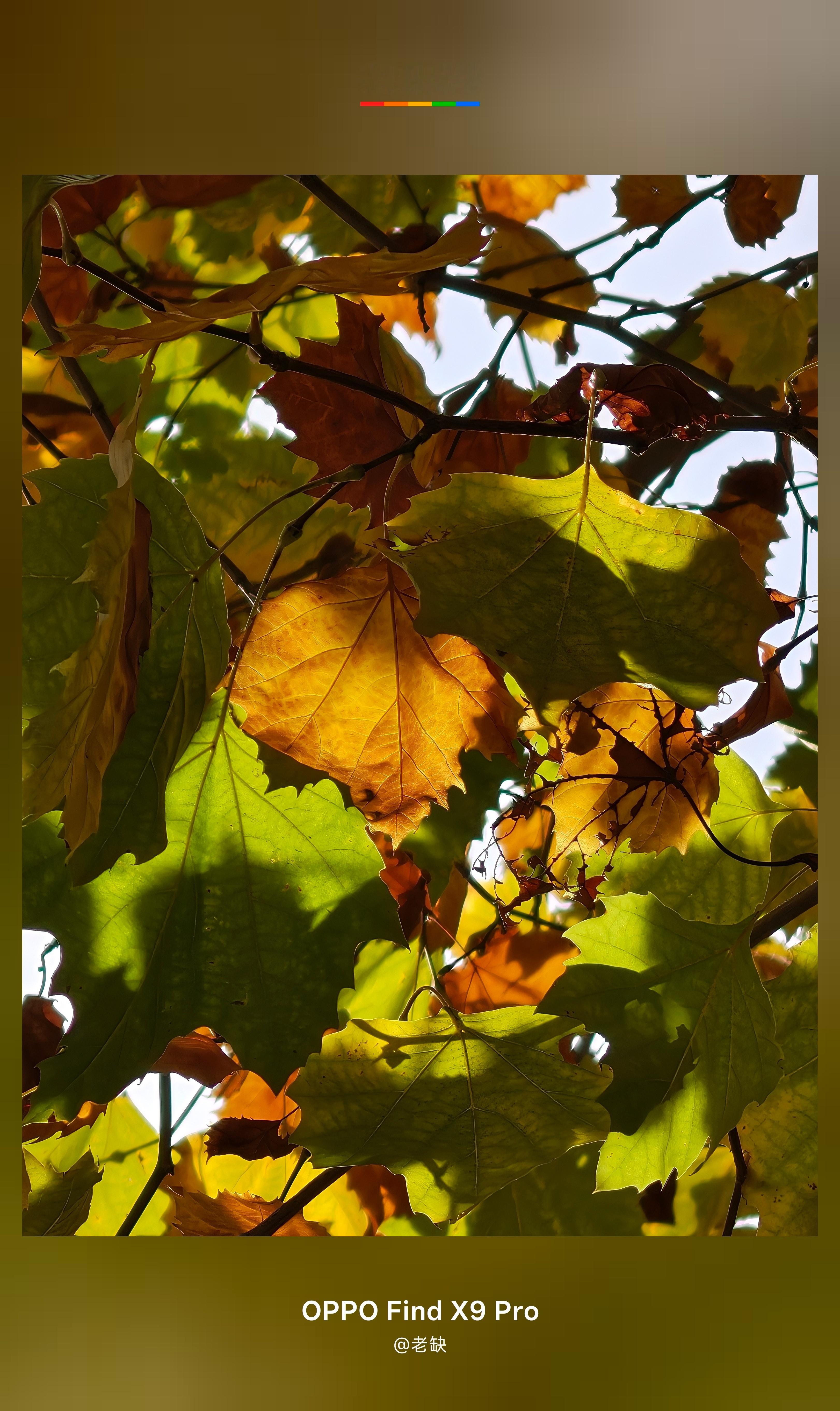 早啊，都起来拉么？ 