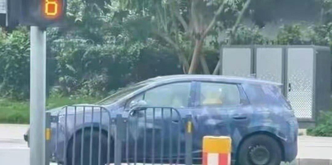 比亚迪海豚G DM-i插混版海外特供版 ps有懂行的来说说，这对应国内啥版本还是