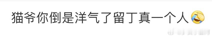 猫爷你倒是洋气了留丁真一个人笑晕了！猫爷你把我们丁真当哪国人整呢！你倒是洋气了，