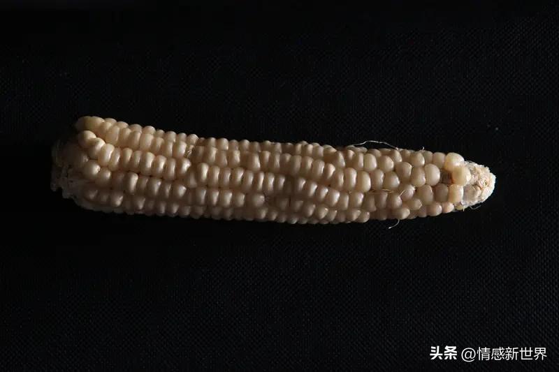 玉米这东西，各地叫法差异可大了。在东北、新疆叫苞米，小时候在东北乡下，院子里常堆