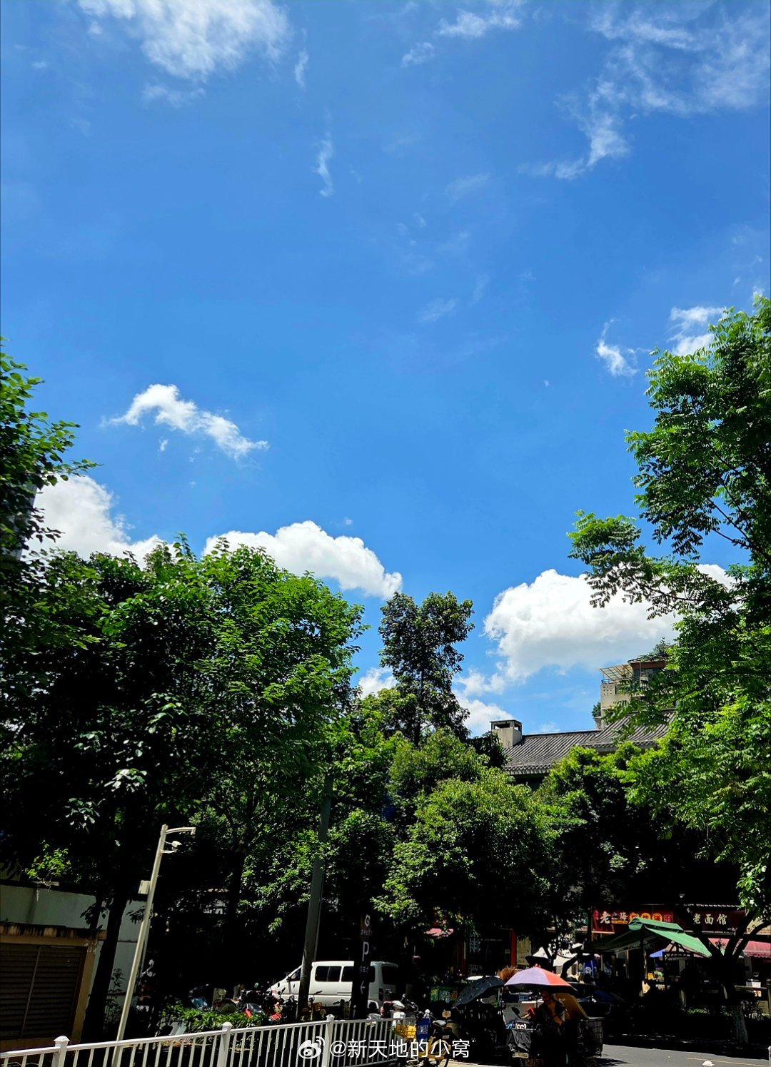 早上好,新的一天成都天气早上好！成都今日天气：白天多云，夜间阵雨，气温22~31