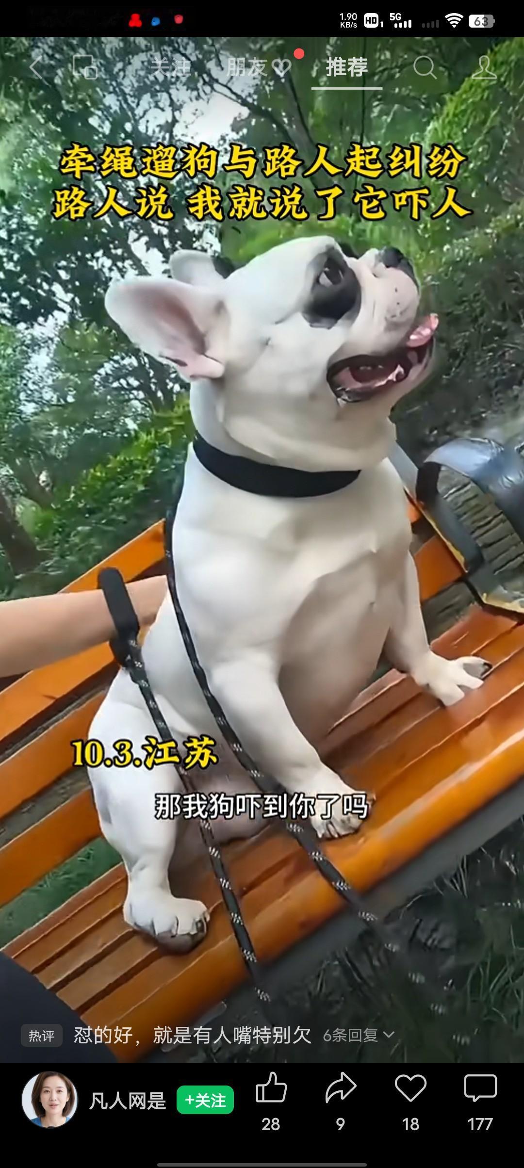 女子遛狗与路人起争执！
路人：我就说了句这狗好吓人，她就不依不饶的。
狗主人：我
