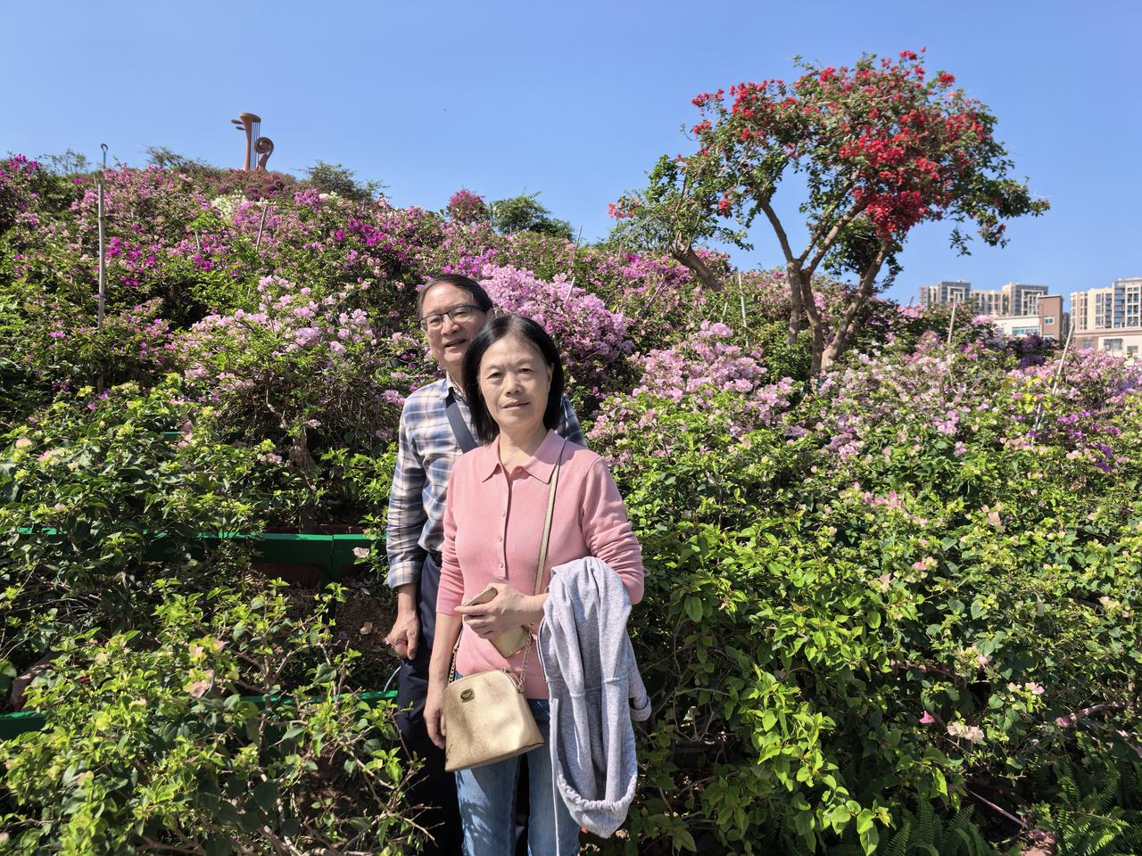 我的观点和网上大多数人的相反。人老了，一定要和儿子儿媳，女儿女婿处和关系。有退休