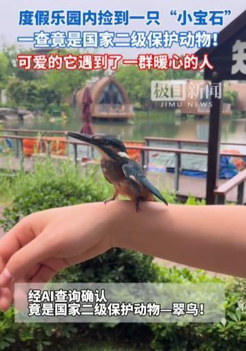 暖心守护！5 月 12 日，武汉城建森泊乐园员工在后官湖边偶遇一只受伤小鸟，经 