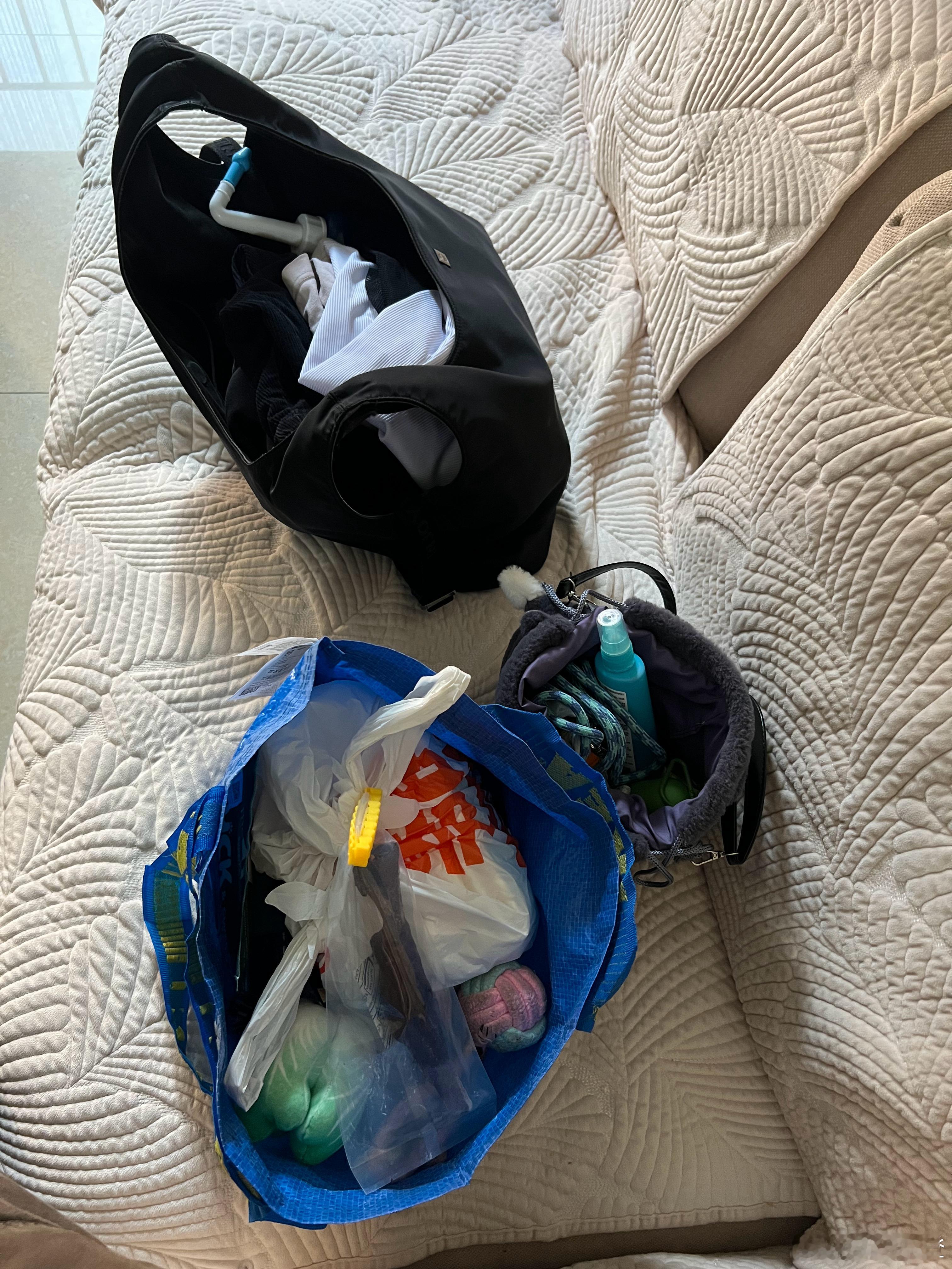 带世狗一去看海咯！！！他的行李比我还多。每次都觉得好对不起闹闹。我下次一定带闹闹