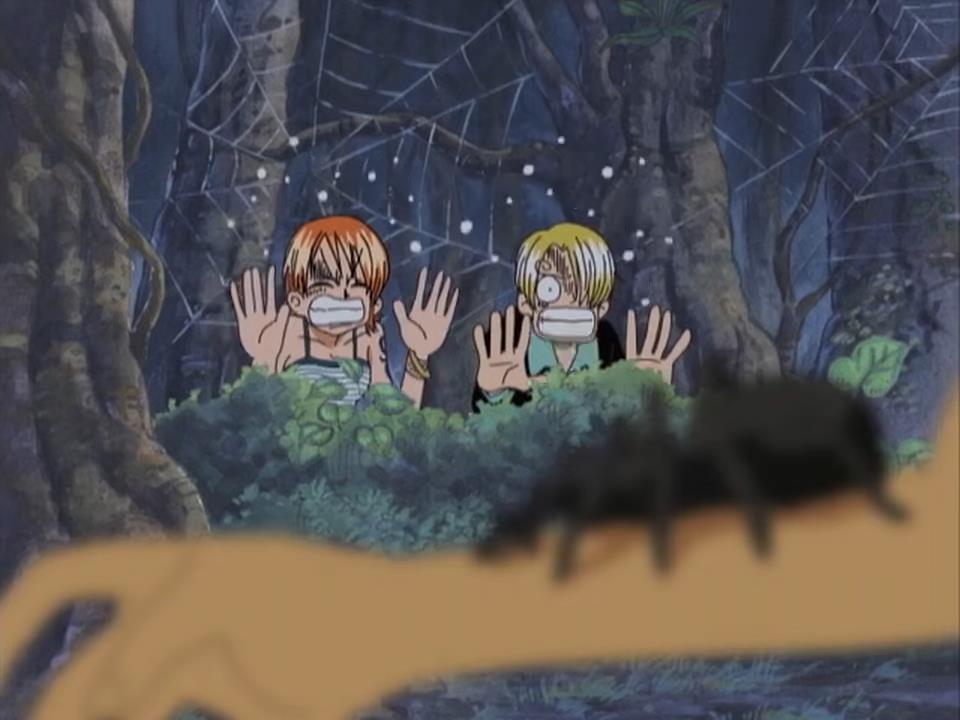 海贼王海贼王 娜美和山治还是那么怕虫子 