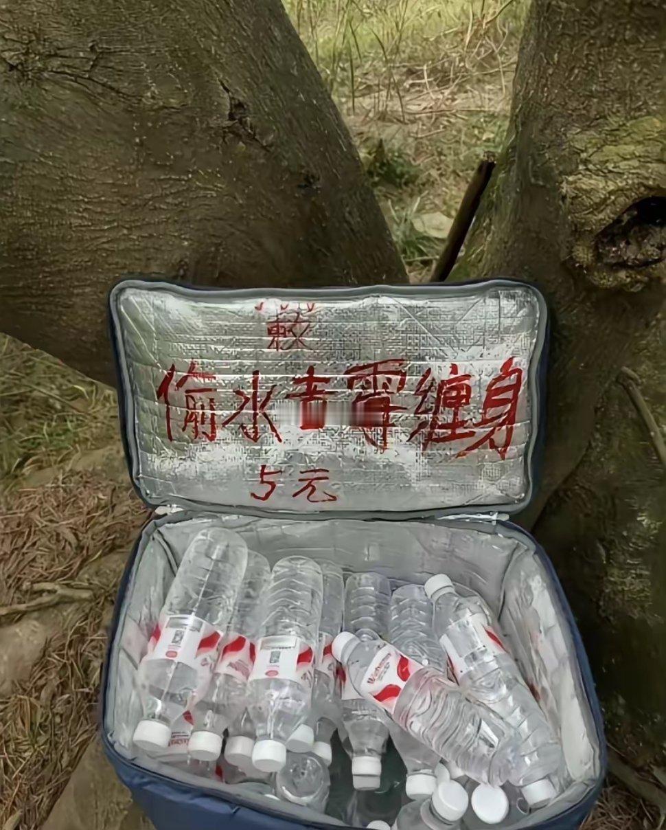 这天下就没有破解不了的局