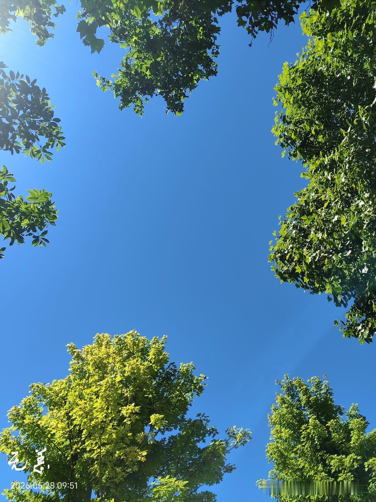 刚刚正在上课，婆婆打来电话，我没接，结果待了一会儿，又打，我又挂了。
正在讲课没