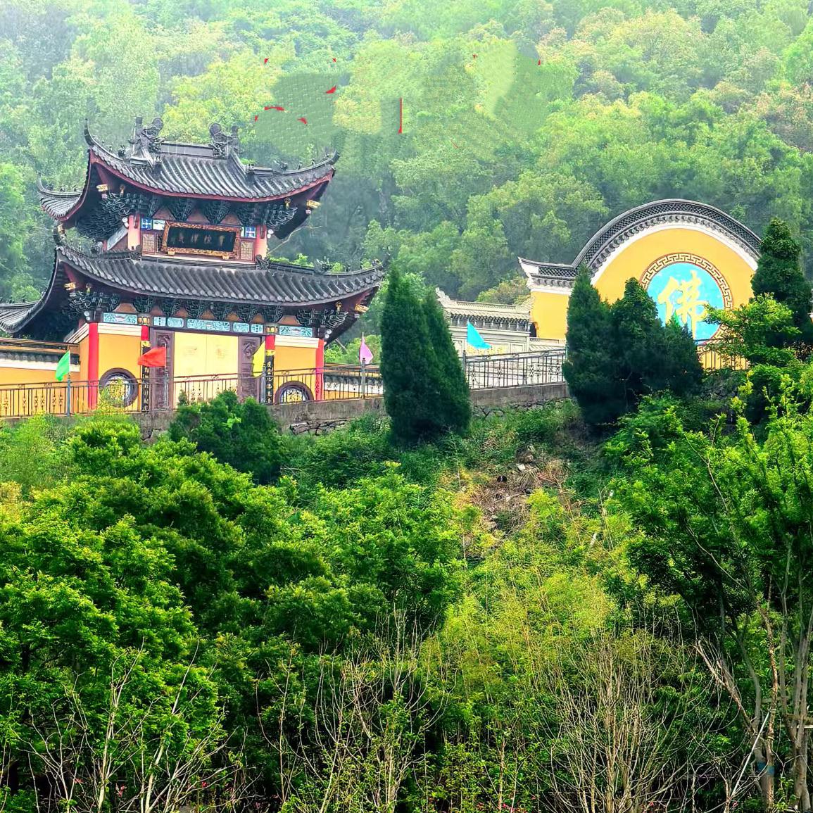晨曦中的虔诚地……