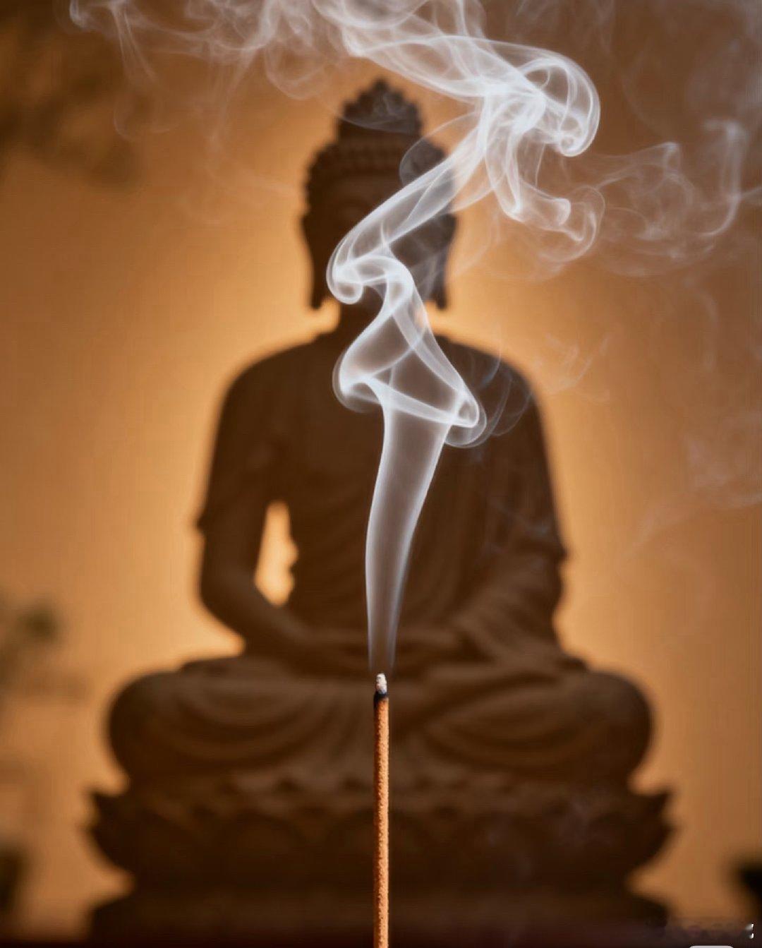 早睡早起！祝我的粉丝们明天起来吃肉！股友们晚安😴 