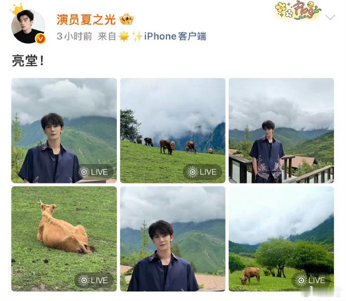 粉丝想要夏之光必须做到夏之光粉丝在线P图妥妥的宠粉标杆无疑了，只要是合理的诉求，