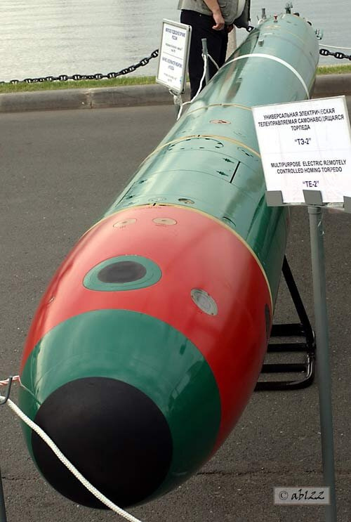 烽火问鼎计划每天认识一件兵器 俄罗斯TE-2型533毫米电动重型鱼雷（图1）的银