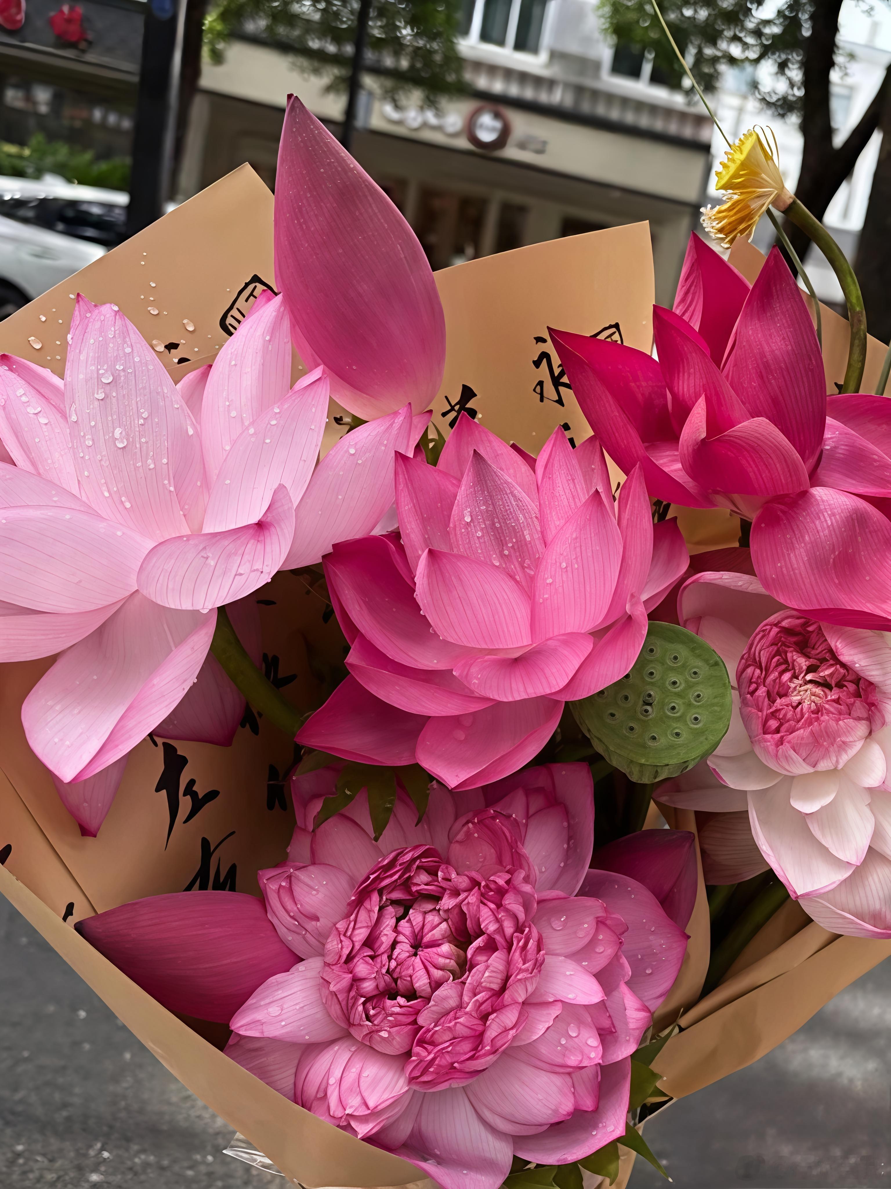 今天的花朵，不只是装饰🌸夏天的温柔，  都藏在荷花花束里。粉瓣青荷，自带清冷干