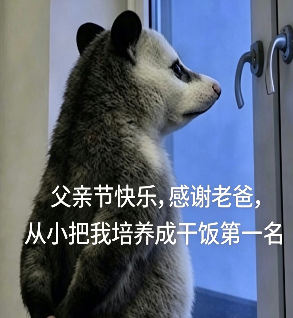 父亲节今天父亲节，家人们给爸爸都准备礼物了吗？上次给我爸买了条烟，我爸挺开心的但