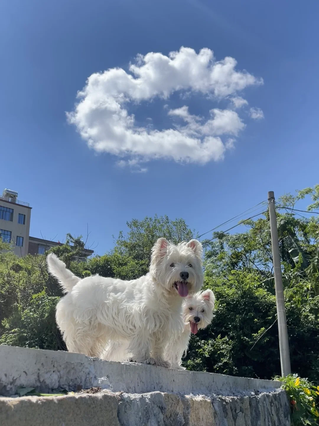 宝宝你就是上帝派来的天使！