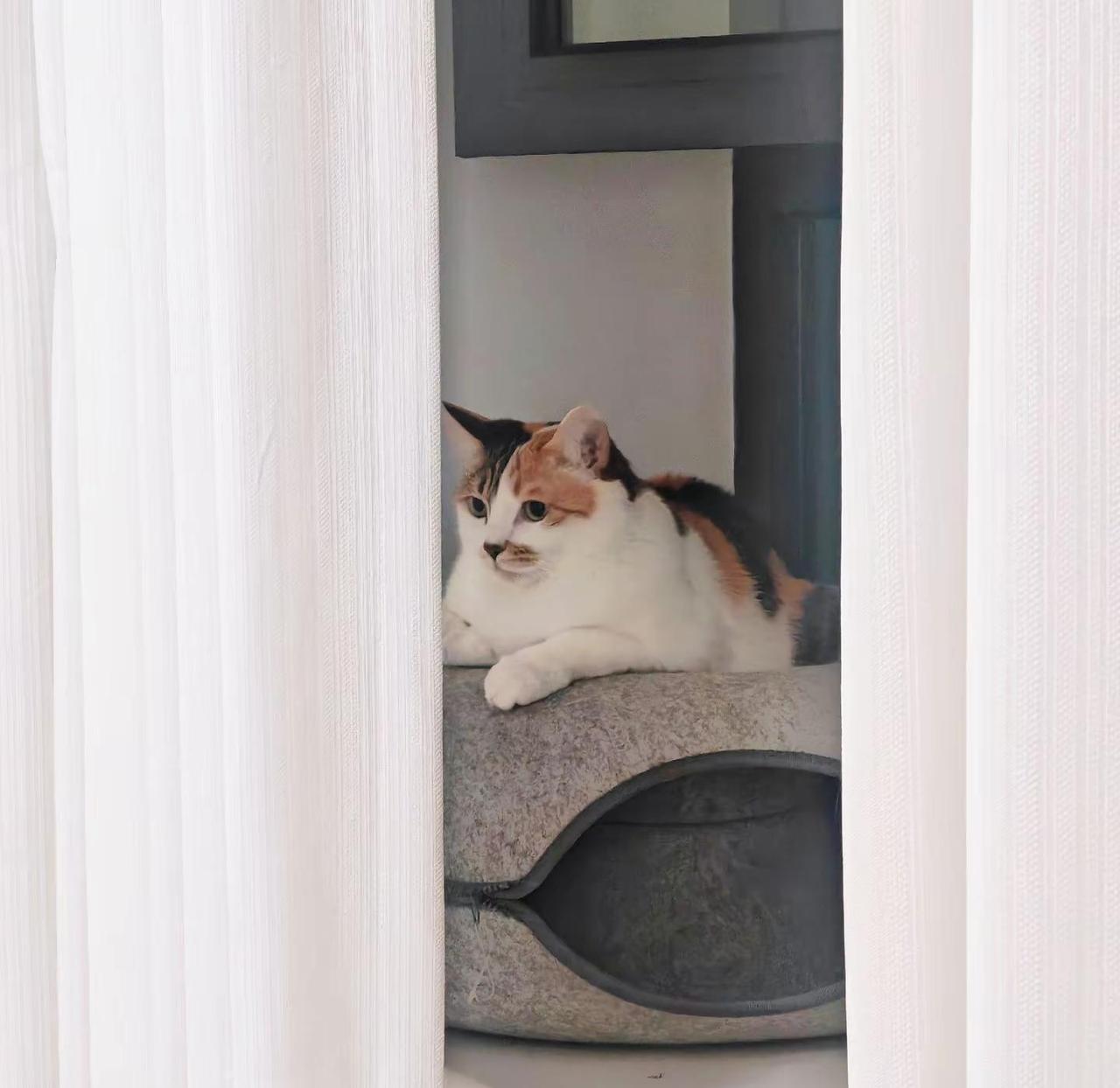 地球online提醒您，请勿在npc身上浪费太多时间，避免影响玩家自身情绪_祝各