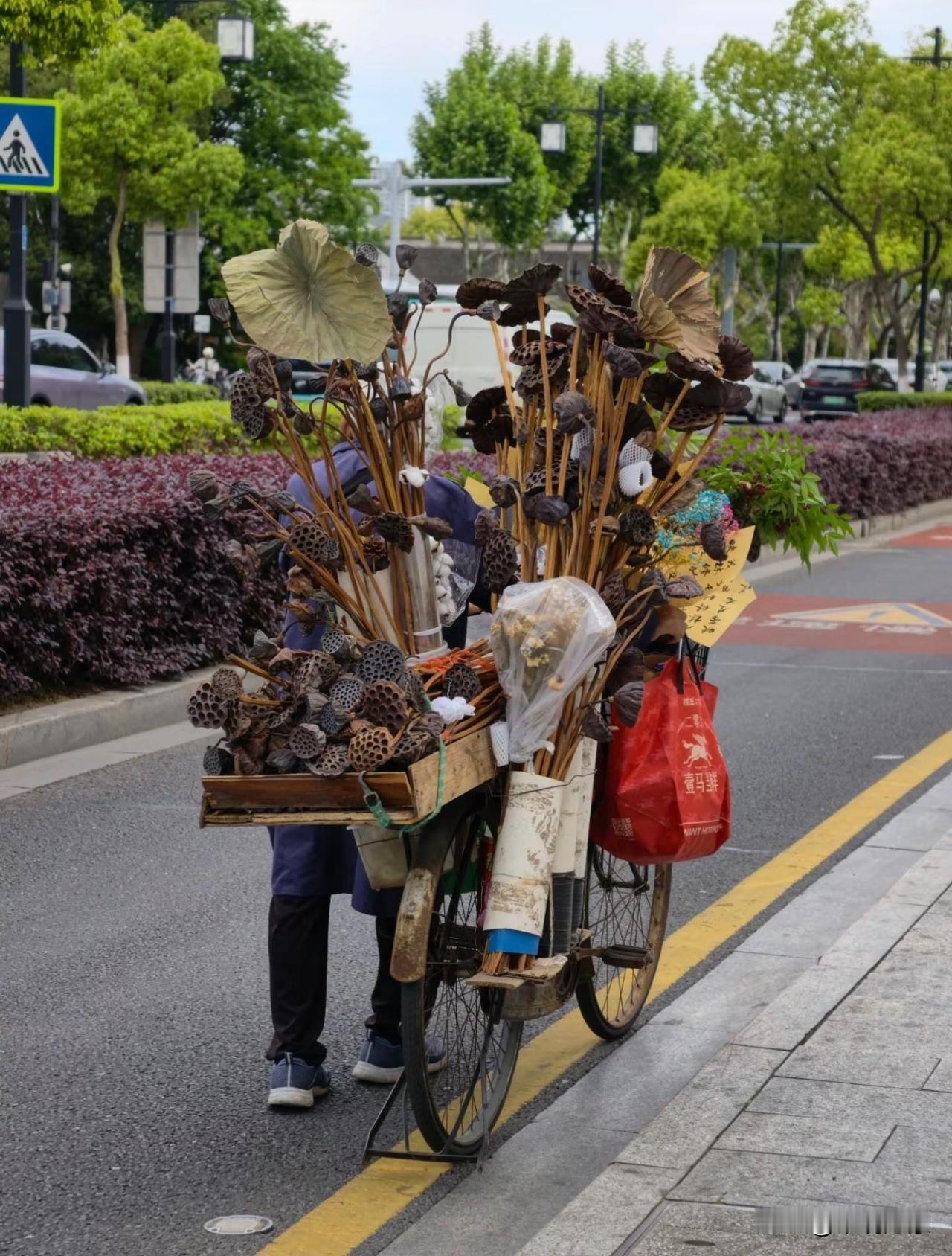 街头，卖干莲蓬的大爷，步履蹒跚，缓缓独行…