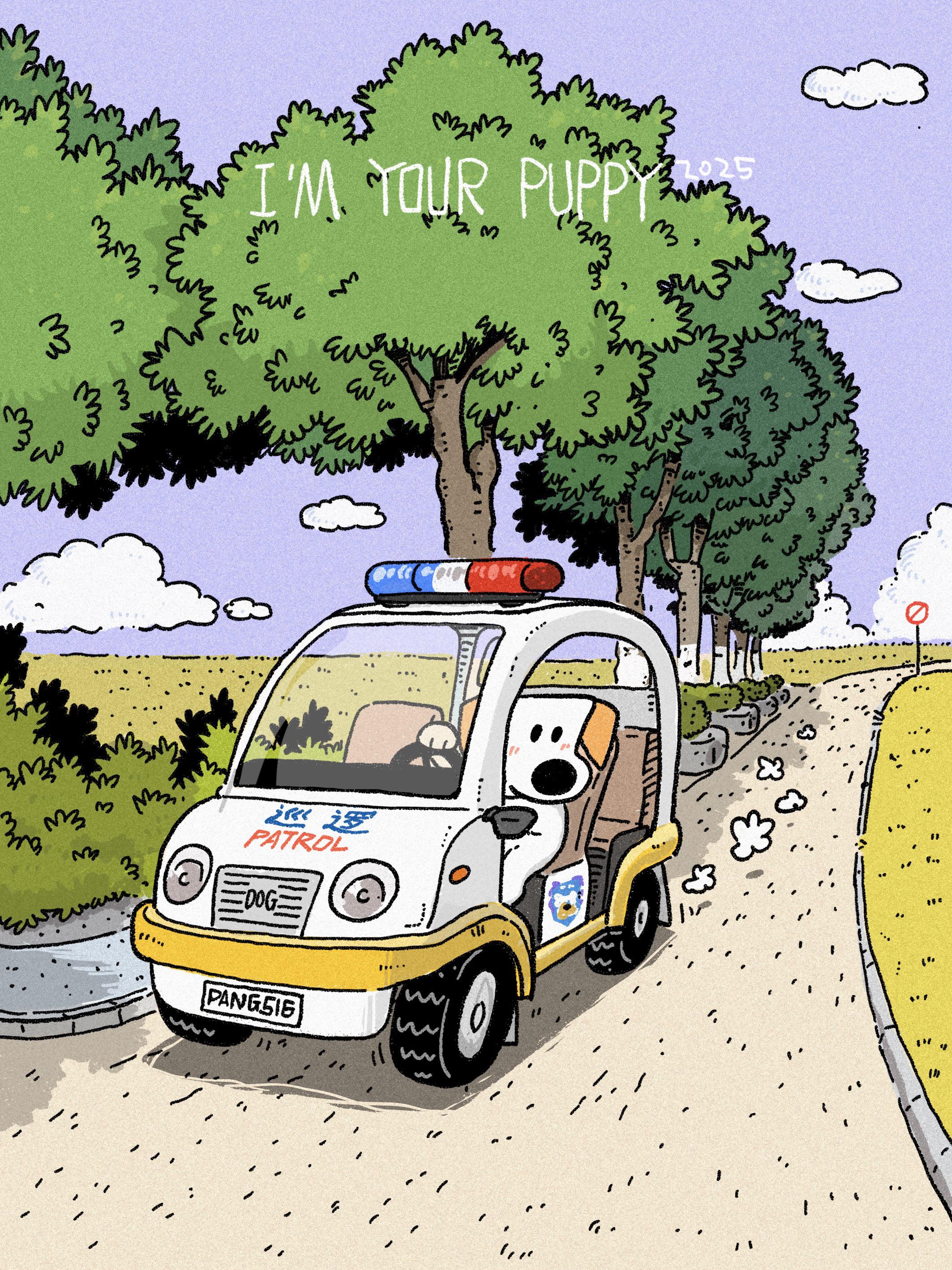 小狗巡逻咯。让我看看谁遛狗不捡便便！