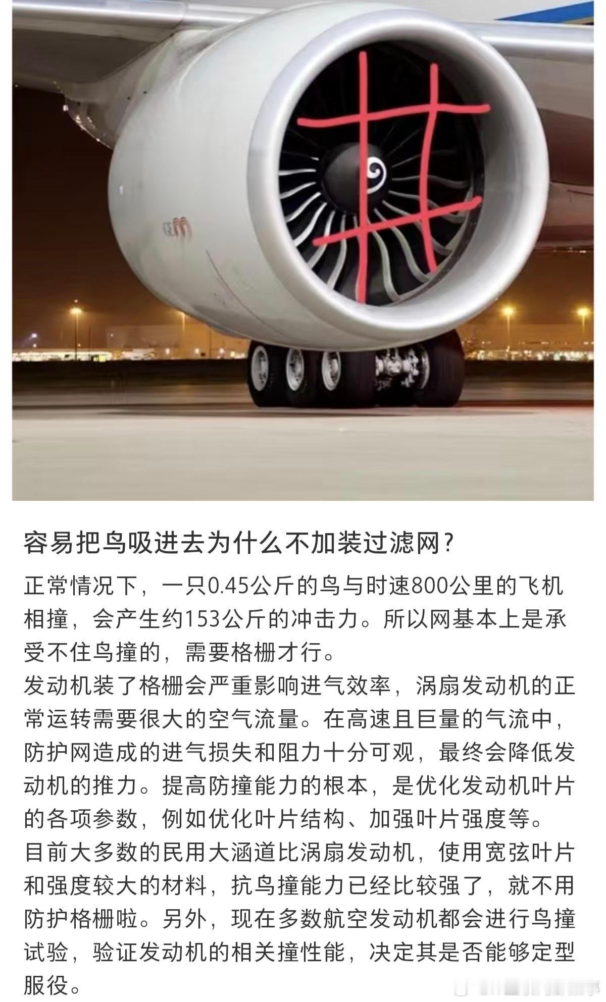 鸟类为何不避开飞机 飞机发动机容易把鸟吸进去为什么不加装过滤网？这个解答大家可以