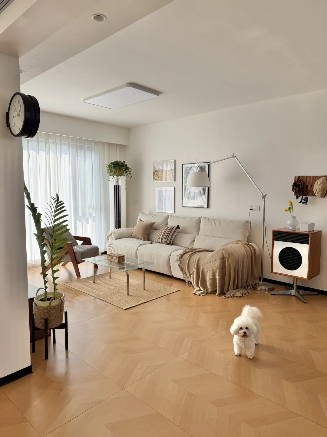 11w，已经很满意了……