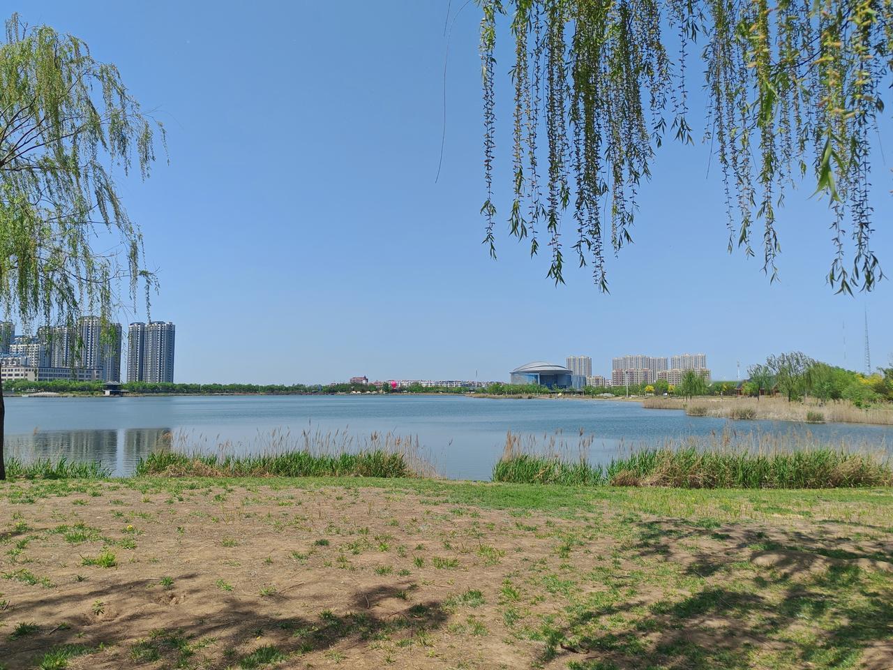 我们来到这个世界上，是看花怎么开，水怎么流，风怎么轻轻拂过脸庞，爱人如何拥抱。我