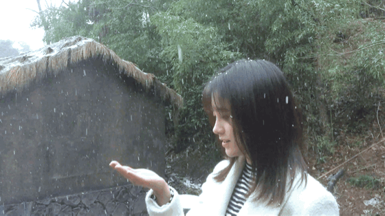 鞠婧祎 你一出现 这世界都变得暗淡了  鞠婧祎苏绿夏