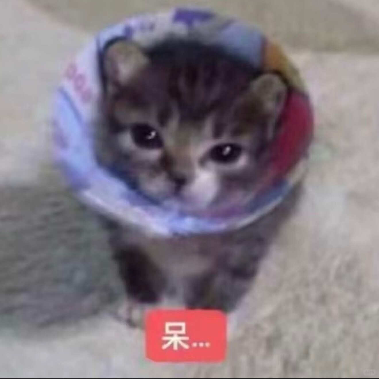 我选头像的审美belike。 
