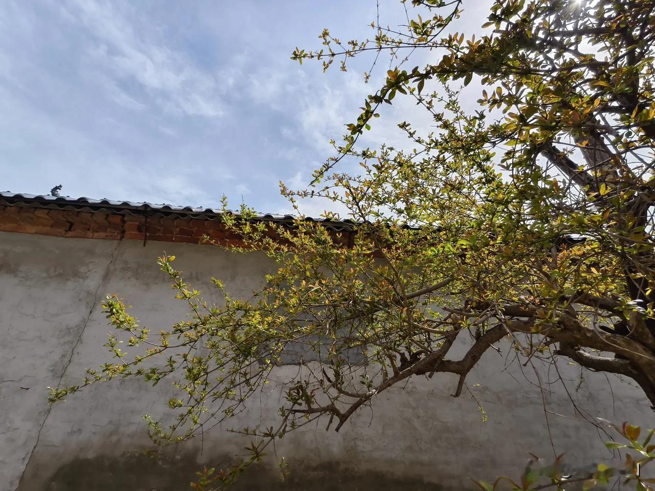 如果你手里有300w，你会怎么做？

可能有人会说，才那么点能怎么着，有这么多人