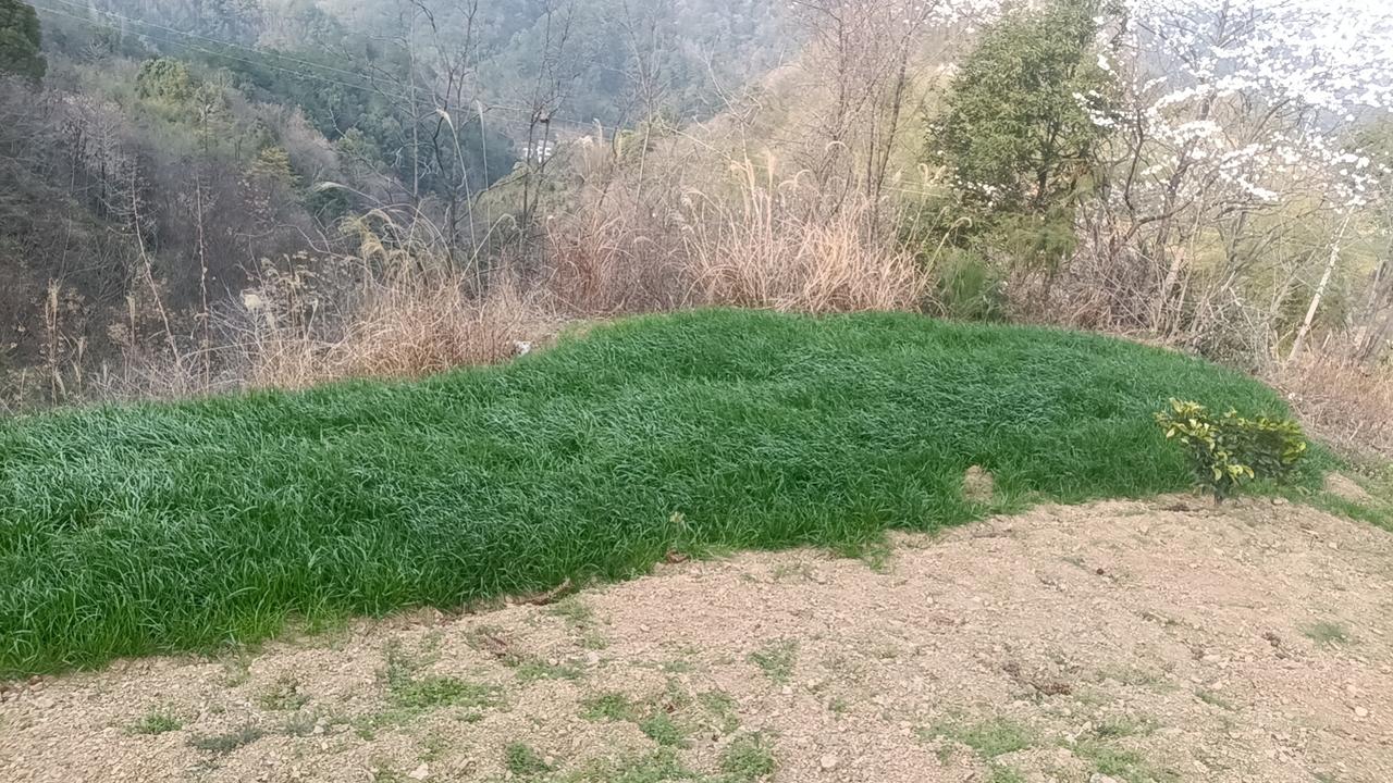 1. 身体急救（1分钟见效）
 
- 深吸 4 秒 → 憋 4 秒 → 慢呼 6