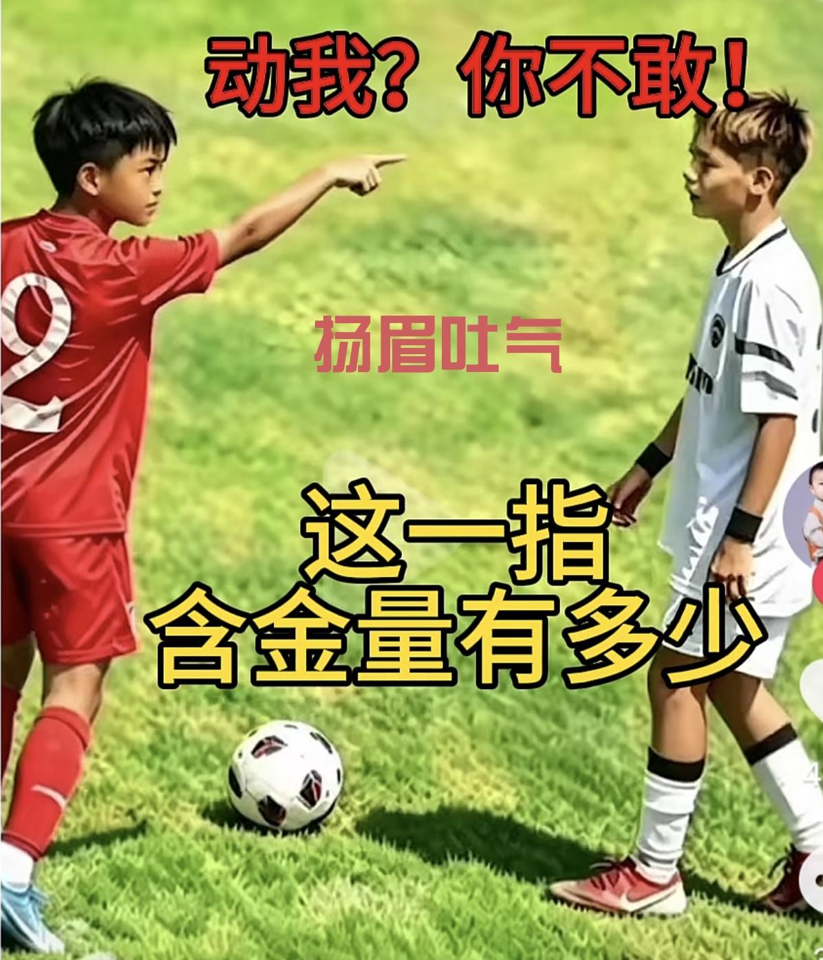 骨气毫气大气霸气帅气   
        ——国人杨眉吐气   
      