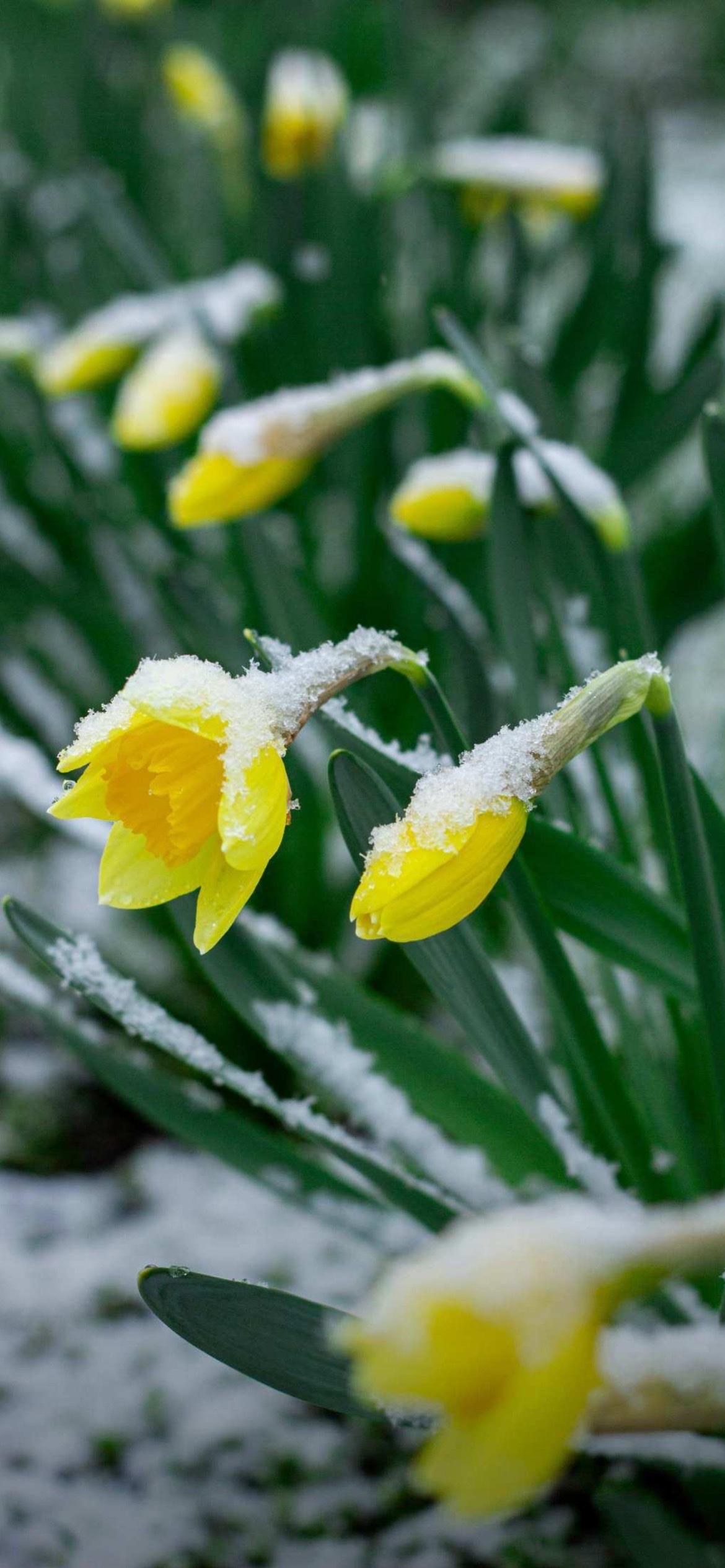 2月您好！是冬的余韵，也是春的序章，美好恰逢其时。