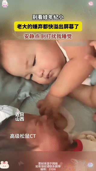 笑不活了！老大嫌老二吵，直接把安抚奶嘴塞嘴里
 
近日在山西，一对萌娃的日常互动