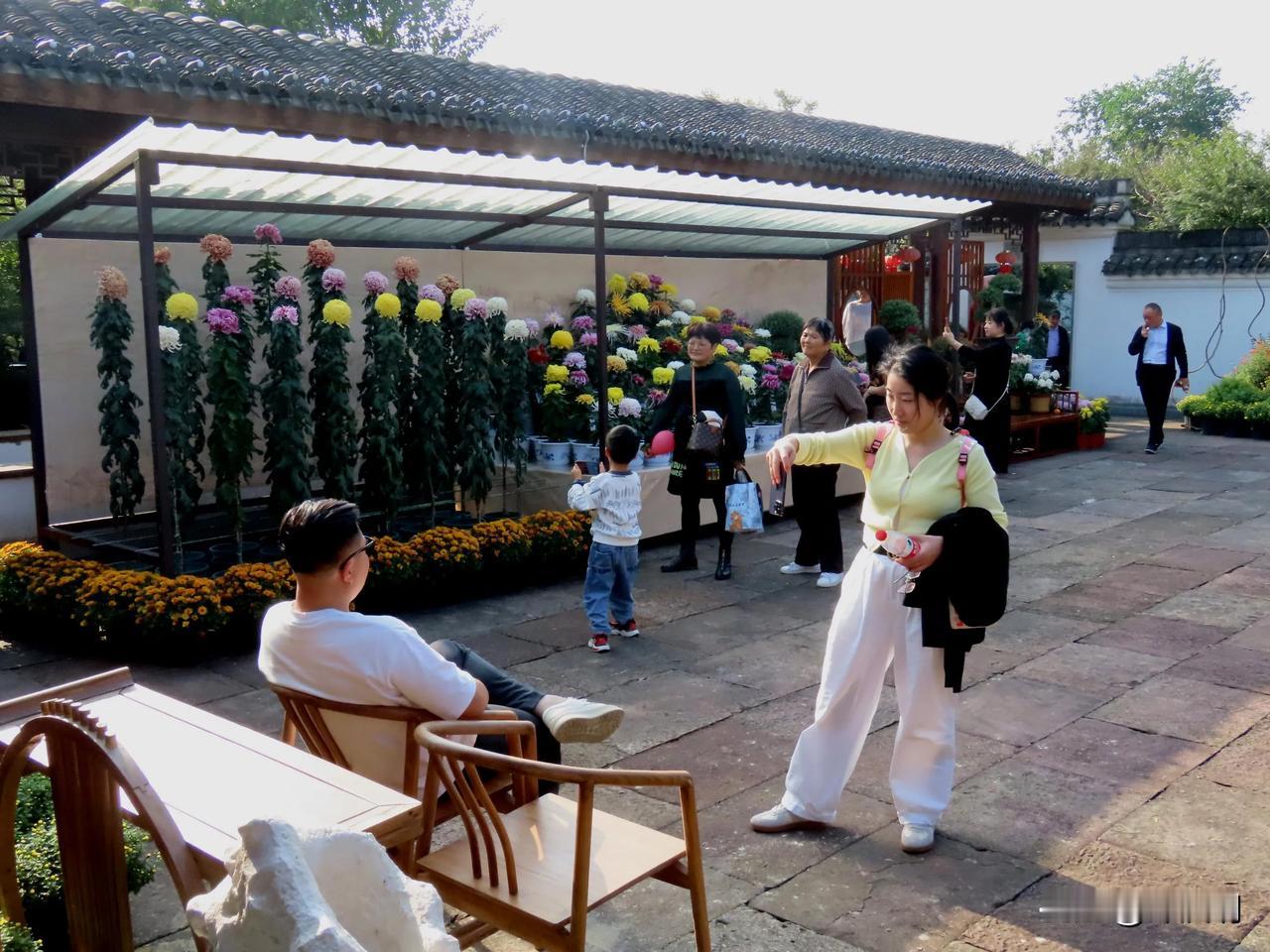 悠闲午后，赏花品茗，悠然自得。