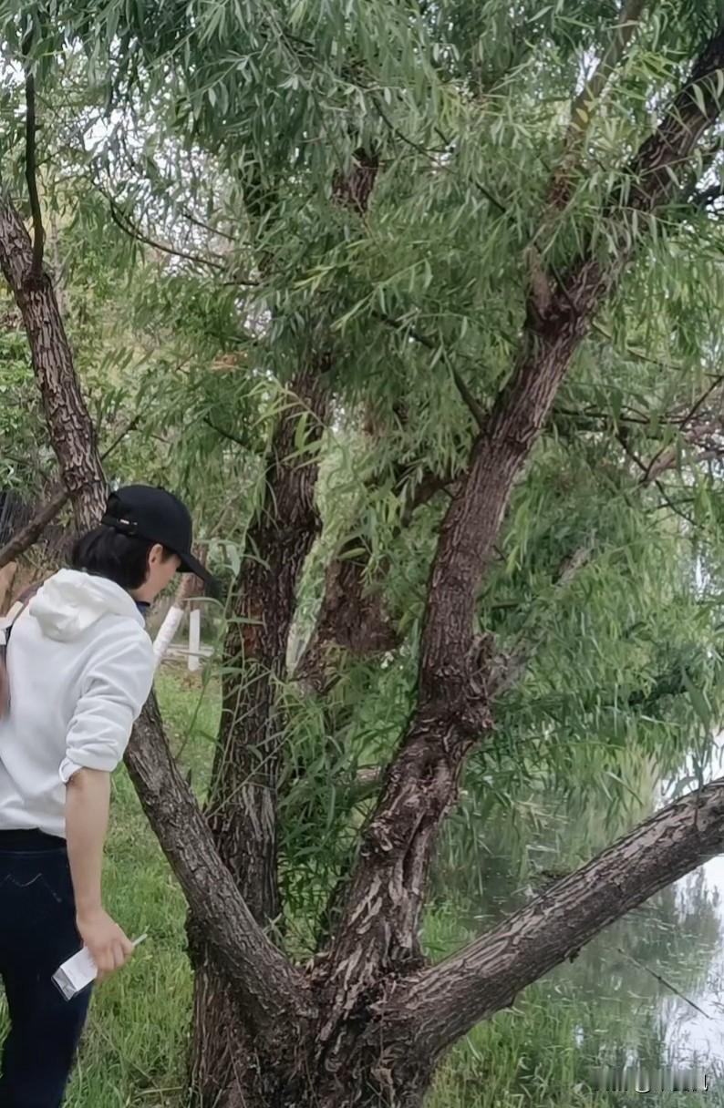 人的能量有时就像一盏快灯枯油尽的灯，需要及时添油才续航。人的能量在低弱时，人是疲