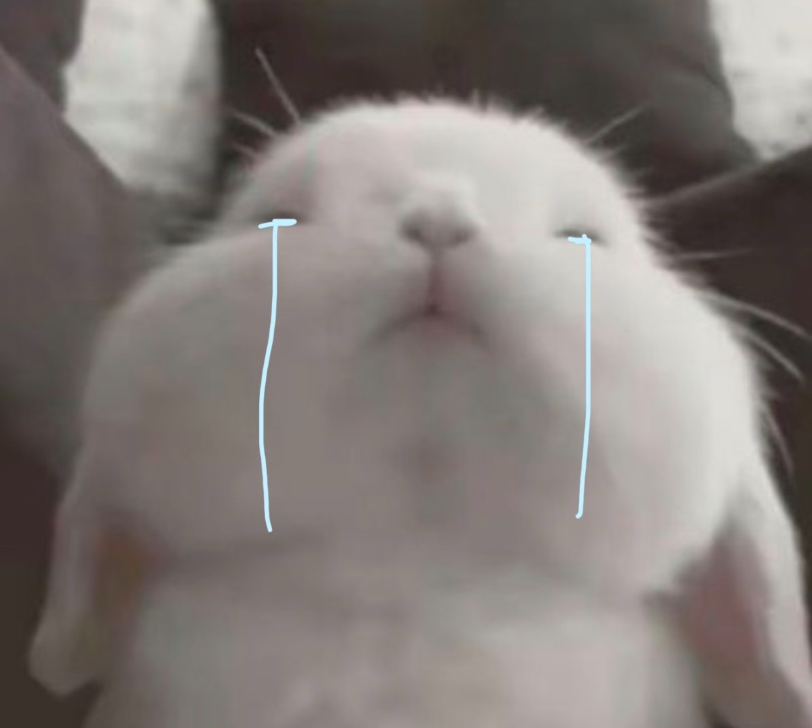 好喜欢张子墨怎么办呀⸝⸝o̴̶̷᷄ ·̭ o̴̶̷̥᷅⸝⸝ ​​​