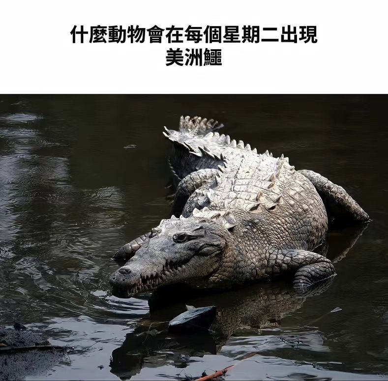 念出来的时候感觉好无力 ​​​